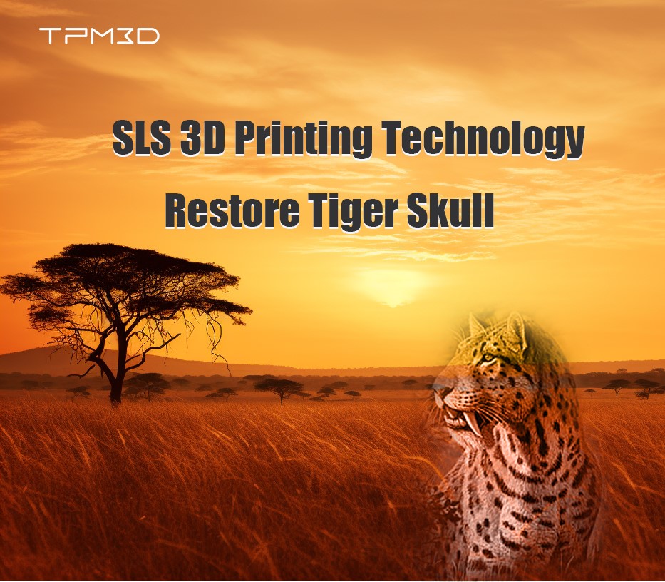 SLS 3D Printing Technology Restore Tiger Skull